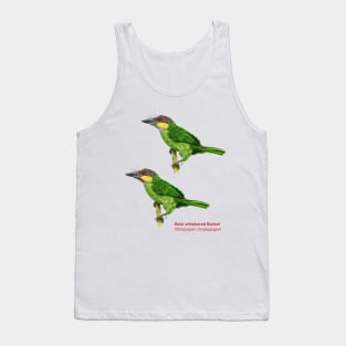 Gold-whiskered Barbet | Psilopogon chrysopogon ⚥ Tank Top